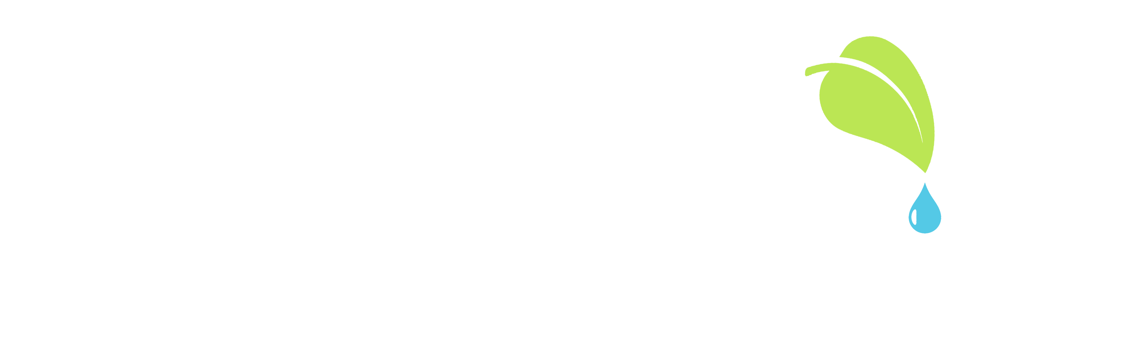 https://replaser.com/wp-content/uploads/2023/10/cropped-replaser-logo-white-1.png